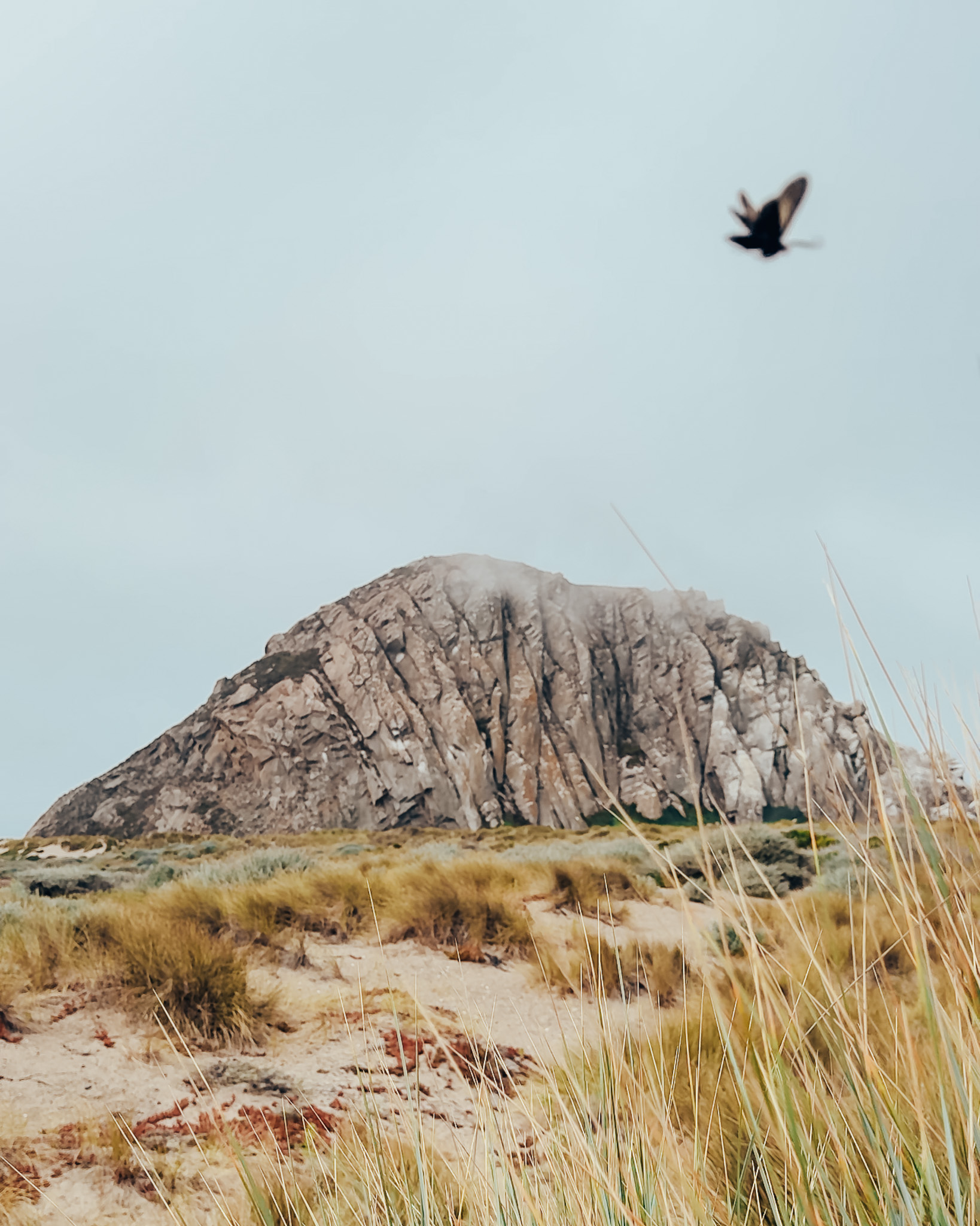 Morro Rock in California's Central Coast