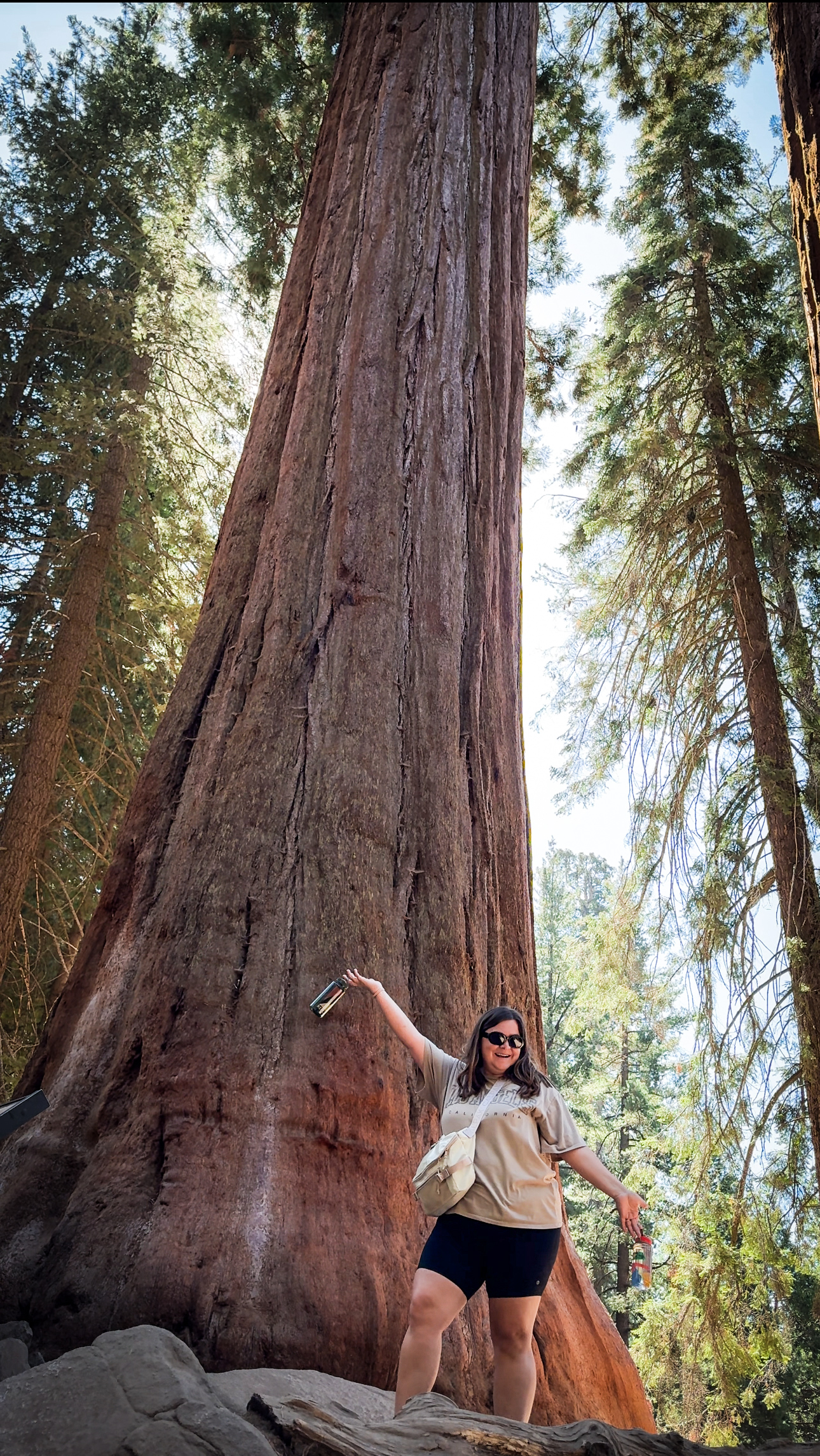 Sequoia National Park